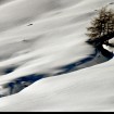 Paesaggio di Alleghe in inverno – Autore: Mario Vidor