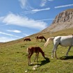 Val di Non – Val Nana – Autore: APT Val di Non