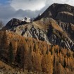 Il Passo Valles che collega Falcade (BL) e Tonadico (TN) - Autore: Mario Vidor