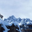 Dolomiti di Sesto innevate - Autore: Caravan Park Sexten